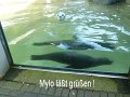 31 - Kurzer Besuch bei Mylo